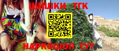 дживик Пенза