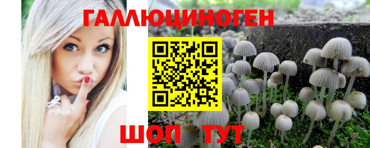Пушкино  Псилоцибиновые грибы Cubensis  Вход с VPN 